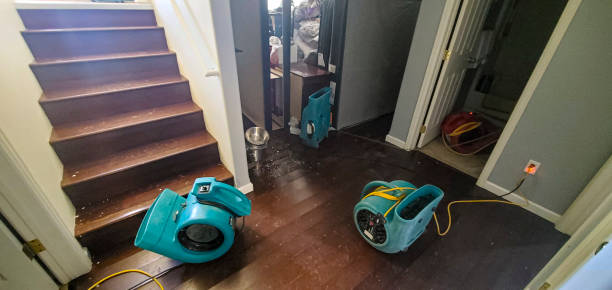 Best Ceiling water damage repair  in Ridgeland, SC