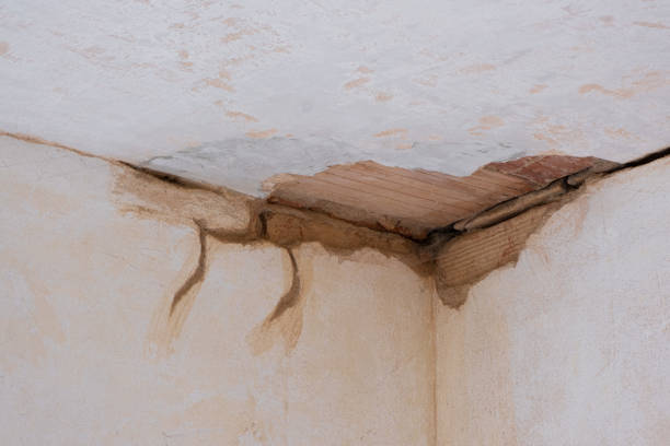Best Flood restoration services  in Ridgeland, SC