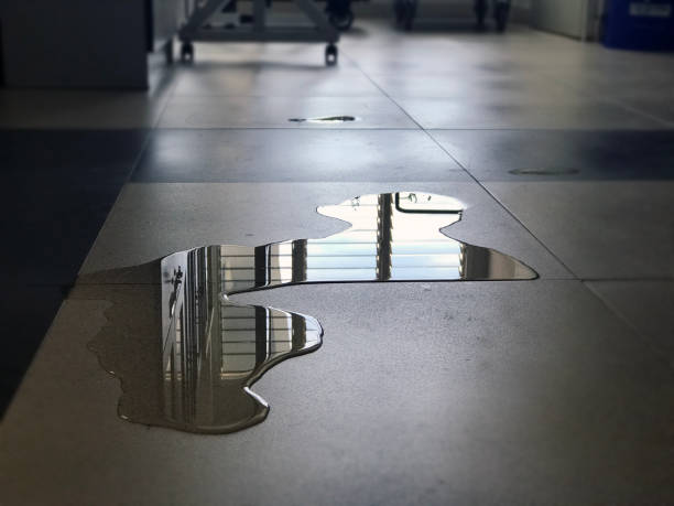Best 24/7 water damage repair  in Ridgeland, SC