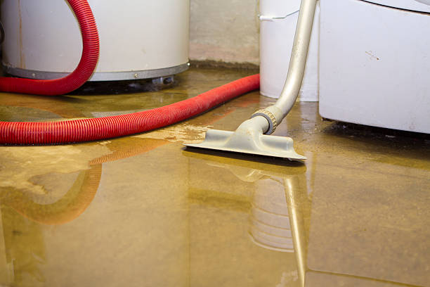 Carpet water damage restoration in SC