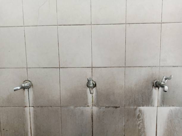 Best 24/7 water damage repair  in Ridgeland, SC