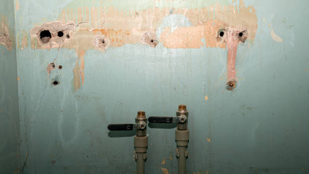 Best Fire Damage Restoration  in Ridgeland, SC
