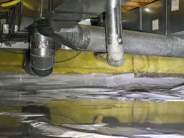 Best Flood damage cleanup  in Ridgeland, SC