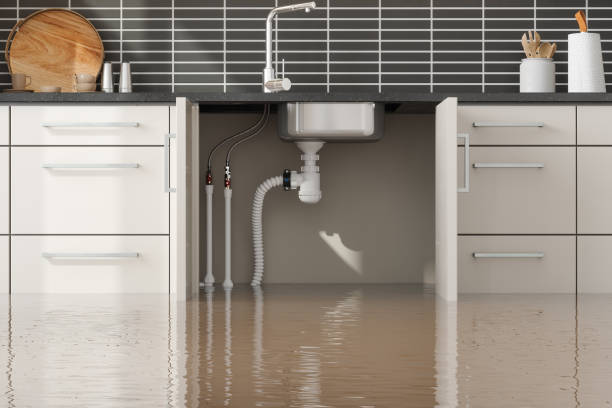 Best Sewage cleanup and water damage restoration  in Ridgeland, SC