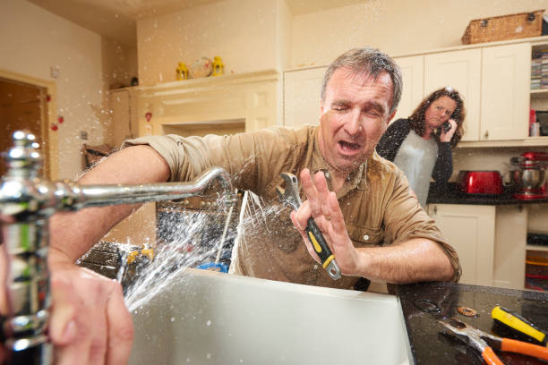 Best Water damage cleanup near me  in Ridgeland, SC